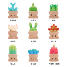 Load image into Gallery viewer, IATOYS Penpot Hugging succulents series Toy figures Blind box
